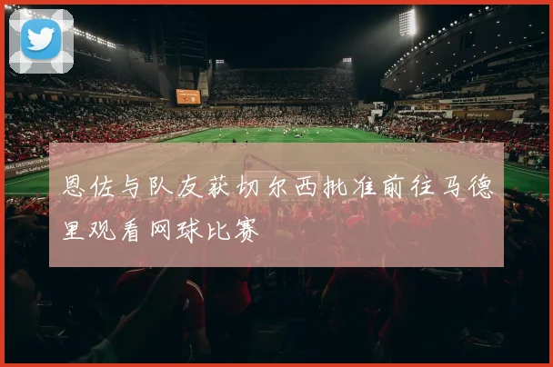 恩佐与队友获切尔西批准前往马德里观看网球比赛